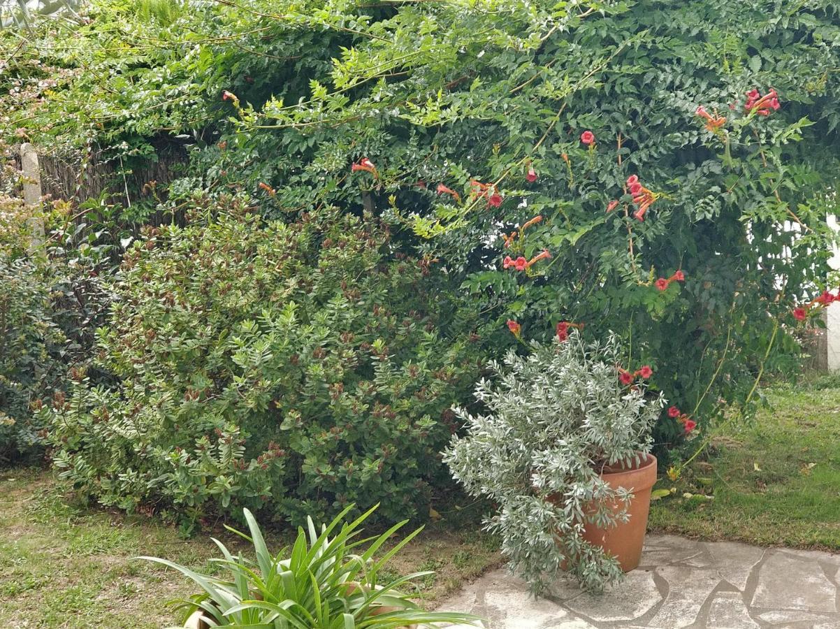 T1 Ou T2 Dans Villa Avec Jardin Proche Biarritz Anglet Exterior photo